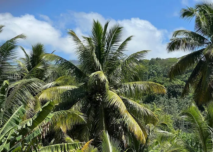 Апартаменты Paul's Baie Lazare (Mahe)
