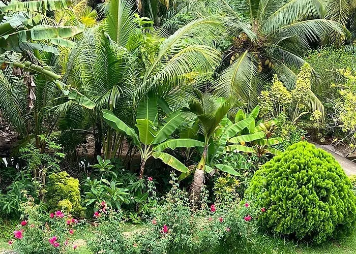 Paul's * Baie Lazare (Mahe)